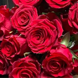 Meet your Posher, Judi